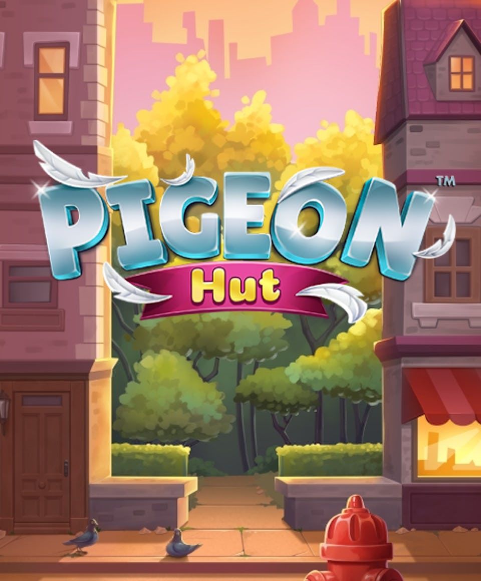 Pigeon