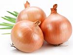 Best ghom bot!-all-about-onions-theshiksa-com-history-cooking-tutorial-jpg