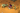 wd pets follower necro skeletons-screenshot-21-png