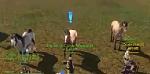 How to Obtain ArcheAge Title Horse Fancier-aa-title-2-jpg