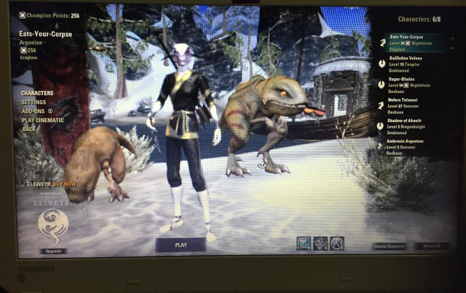 ESO PC NA account 2 characters lvl 256 cp with crown store pets, mounts, outfits.-87134680_10222184896959687_5485607598537310208_n-jpg