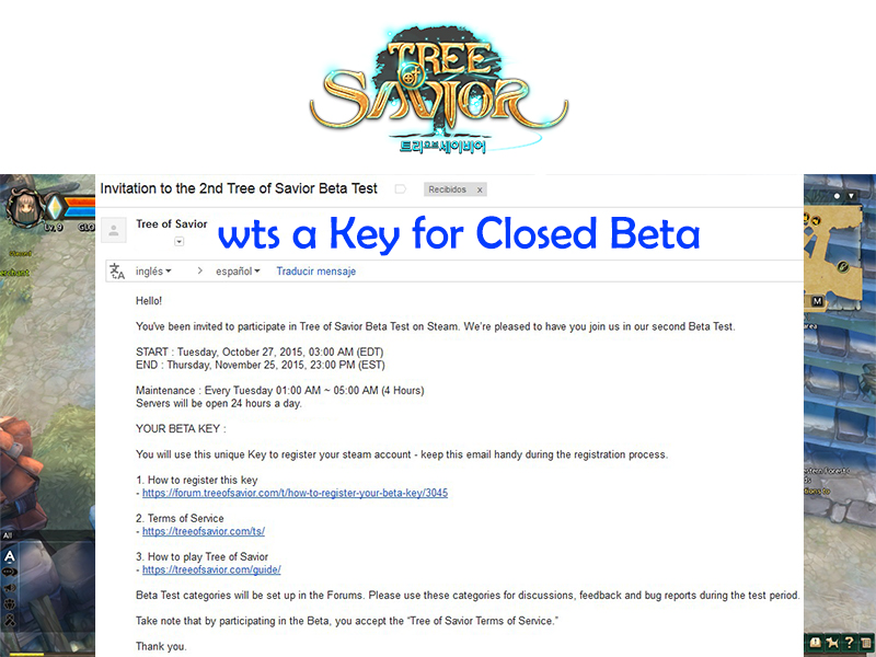 Tree Of Savior 2nd Beta STEAM Key-selling-jpg