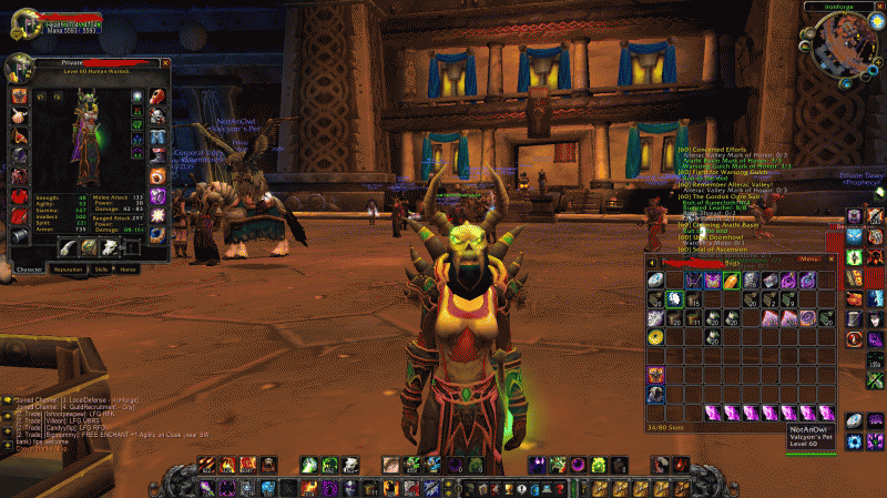 [Elysium] Epic Geared Human Warlock LvL 60-wlock123-gif