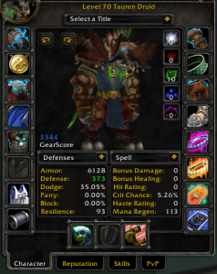 Endless very good geared druid-111-png