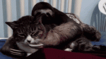 ffxiv arr test client-tumblr_mliu036rnn1ryd8g3o1_400-gif