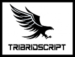 TriBridScript First Runescape Script for PvP/PK-tbs-owned-core-png