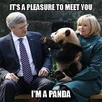  In Prizes! Massive Giant Panda Contest! Chance to win !-gxidsql-jpg