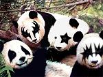  In Prizes! Massive Giant Panda Contest! Chance to win !-20040907-panda-jpg