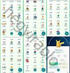 Pokemon GO Accounts lvl22+ | 28 Pokemons 1000+ CP | Rare Pokemons | 0-24h+screenshots-1-tile-jpg