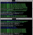 Haxton - Fastest Bot Yet, 1-20 in an hour-screenshot230-jpg