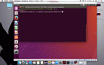 Pokemongo Mitm Proxy-16-gif