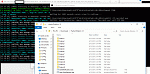 Dratini Hunter for Necro Bot Config-hunterrotation-gif