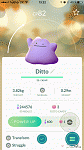 Ditto-img_1349-gif