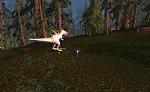 Smallest possible character model in warcraft-chicken1-jpg