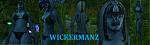 [Worgens Only] Become a halfcast with an ugly face.-n3lbe-jpg