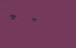 Random Explorations-wowscrnshot_053113_003011-jpg