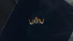 [Challenge] Master of Exploration-wo_wscrn_shot_030614_193808-jpg