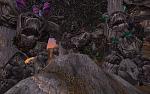 Random Explorations-mont-hyjal-3-jpg