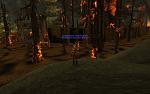 Random Explorations-puit-d-ternit-jpg