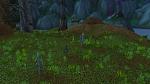 Ashenvale - Hidden Story-wowscrnshot_043016_232304-jpg