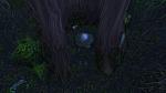 Ashenvale - Hidden Story-wowscrnshot_043016_232113-jpg