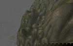 World of Warcraft without water[Lots of screenshots]-wowscrnshot_073111_025143-jpg
