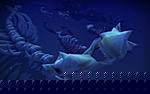 [Underwater Exploration] Strange fossils-underwater-exploration-14-jpg