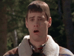 Honorbuddy lifetime no longer lifetime...-ngs9czw-gif