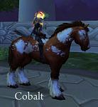 Talbuk to horse-cobalt-jpg