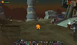 Druid morph Fire Cat form 5.3-sadder-jpg