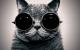 BlacktalK's Avatar