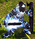 sirjesto's Avatar