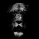 Lions Gold's Avatar