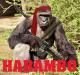 Harambo's Avatar