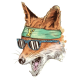 The Fox's Avatar