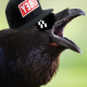 LokeYourLord's Avatar