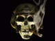 impfisto's Avatar