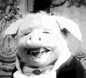 TradingJohns's Avatar