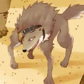 desertwolf's Avatar