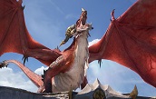 DragonflightGolds's Avatar