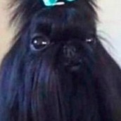 thumbuppandy's Avatar