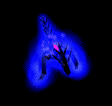 Kaam's Avatar