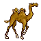 CameI's Avatar